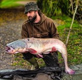 Vass Fishing Culture Hoodie Catfish 711